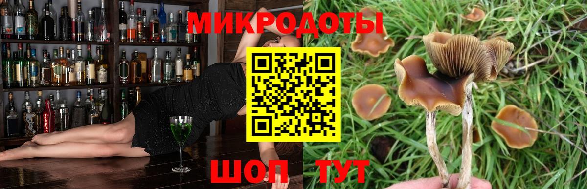 Галлюциногенные грибы MAGIC MUSHROOMS Псков