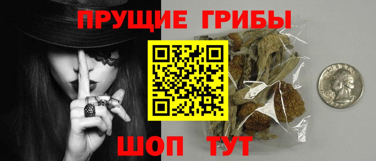 Псков  Псилоцибиновые грибы Psilocybine cubensis  Вход с VPN 